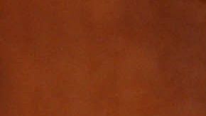 Rocío Sánchez Azuara