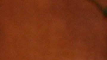 Rocío Sánchez Azuara