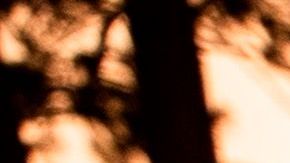 Piden a residentes del Valle de San Gabriel estar listos para evacuar.