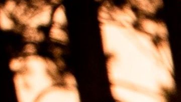 Piden a residentes del Valle de San Gabriel estar listos para evacuar.