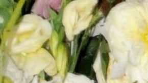 Yadhira Carrillo y Juan Collado.