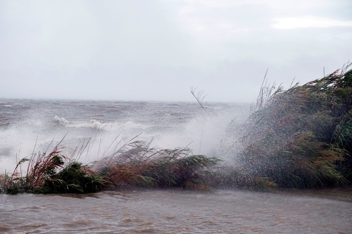  El huracán Sally afectará el nivel del mar, que puede alcanzar hasta 9 pies en algunas zonas.