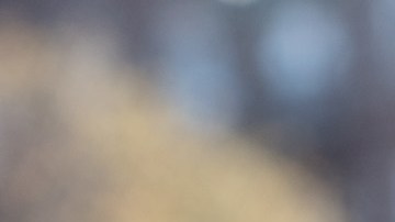 El alcalde llamó a los neoyorquinos a hacerse la prueba de COVID-19, y específicamente a los residentes de las áreas de Brooklyn y Queens, en los que hay incremento de nuevos casos.