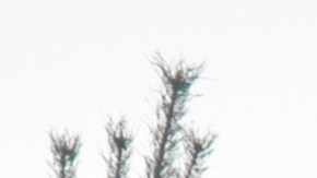 El bombero quedó sorprendido al ver que la virgen no fue dañada.