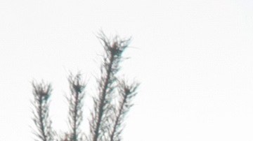 El bombero quedó sorprendido al ver que la virgen no fue dañada.