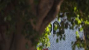 Narcofosas en México.