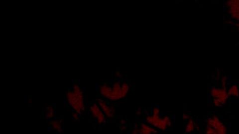 El fuego de Creek ya ha quemado 18,400 hectáreas.