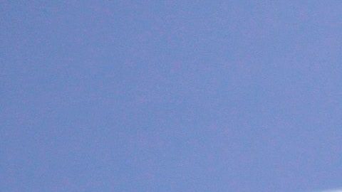 Chadwick Boseman falleció a los 43 años después de una batalla de cuatro años contra el cáncer de colon.