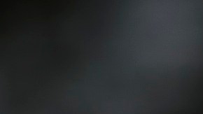 Alguien abrió la puerta del auto del policía, lo que provocó que disparara.