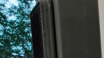 Miembros de la familia de Carlos Adrián Ingram López