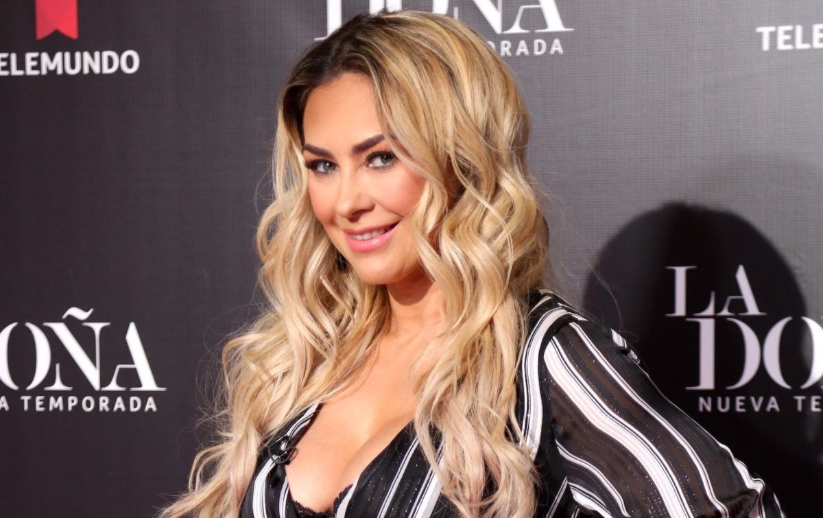 Aracely Arámbula se deja ver sin ropa y aceitándose el cuerpo - El Diario NY