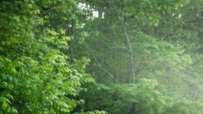 La totalmente nueva Ford F-150 2021