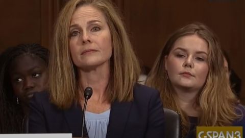 Amy Coney Barrett es actual jueza en el Séptimo Circuito de Apelaciones.