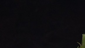 Foto; Ineta Lidace en Pixabay