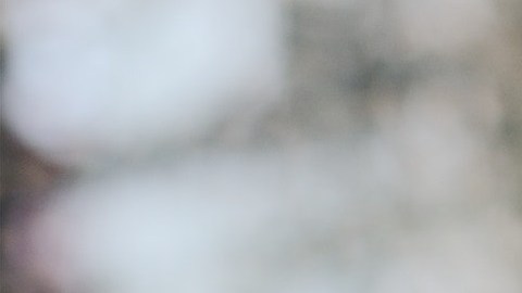 Café-Ekrulila-Pexels