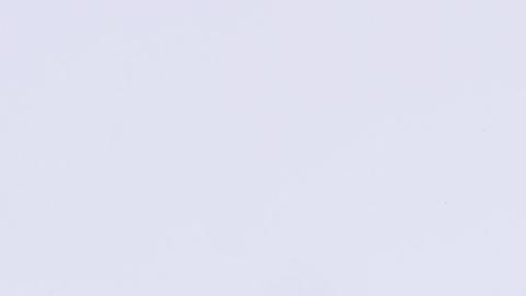 Foto: Pixabay/Pexels