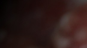 La avena se usa como extensor de carne en pasteles de carne y empanadas de carne.