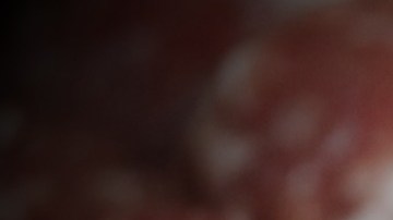 La avena se usa como extensor de carne en pasteles de carne y empanadas de carne.