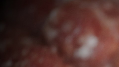 La avena se usa como extensor de carne en pasteles de carne y empanadas de carne.