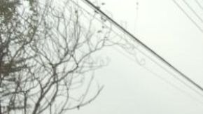 Escena crimen México