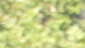 MEXICO-CRIME-CORPSES
Forensic personnel carry one of the corps found at the crime scene of a clandestine grave located inside a house in Guadalajara, Jalisco State, Mexico on August 3, 2018. - The prosecutor´s office of the state of Jalisco reported at least ten bodies have been found in a clandestine grave, Guadalajara is the second Mexican city and has a strong presence of organised crime. (Photo by ULISES RUIZ / AFP)        (Photo credit should read ULISES RUIZ/AFP via Getty Images)