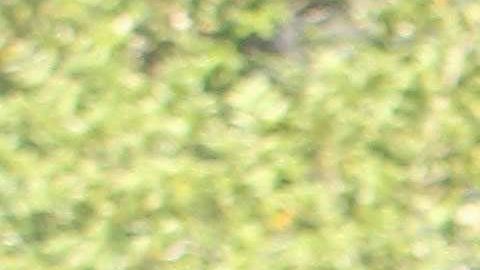 MEXICO-CRIME-CORPSES
Forensic personnel carry one of the corps found at the crime scene of a clandestine grave located inside a house in Guadalajara, Jalisco State, Mexico on August 3, 2018. - The prosecutor´s office of the state of Jalisco reported at least ten bodies have been found in a clandestine grave, Guadalajara is the second Mexican city and has a strong presence of organised crime. (Photo by ULISES RUIZ / AFP)        (Photo credit should read ULISES RUIZ/AFP via Getty Images)