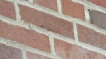 Hortencia González, quien tiene una hija que cursa grado 7 de escuela intermedia