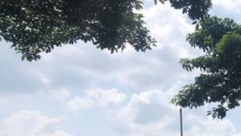 FOTOS: Agarran a 5 narcos con casi 3 toneladas de marihuana y cristal