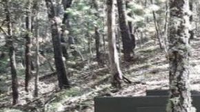 FOTOS: Autodefensas exponen troca monstruo del Mencho y a integrantes del CJNG