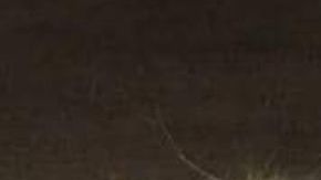 FOTOS: Grupo Élite del CJNG descuartiza brutalmente a hombre junto a narcomensaje