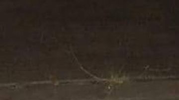 FOTOS: Grupo Élite del CJNG descuartiza brutalmente a hombre junto a narcomensaje