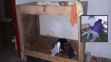 FOTOS: Mujer tenía encerrado a abuelito de 87 años dentro de caja en condiciones infrahumanas