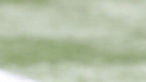 Falcons Seahawks protesta