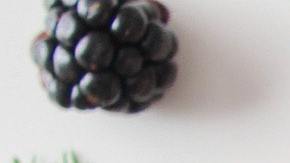 Foto: Trang Doan/Pexels