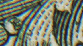 Advierten sobre un nuevo colapso del dólar con probabilidades de una doble recesión