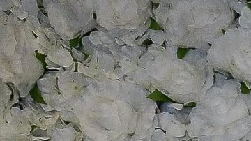 Clan Kardashian-Jenner.