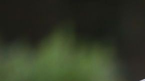 Mason Greenwood y Phil Foden en un entrenamiento con la selección inglesa.