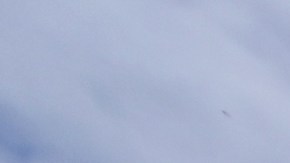 El desfile es una tradición desde 1924.