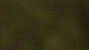 Los hechos ocurrieron antes del cierre de  las oficinas de USCIS por la pandemia de coronavirus.