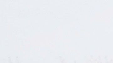 Una de las ventajas de esta alternativa sería que los equipos jugarían en sus propios estadios.