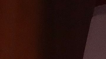 Los líderes demócratas en el Congreso en alerta por intervención extranjera en las elecciones.