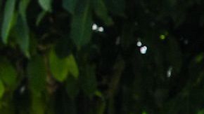 El incremento del cheque de beneficio de la Seguridad Social en el 2021