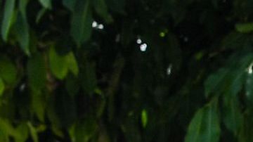 El incremento del cheque de beneficio de la Seguridad Social en el 2021