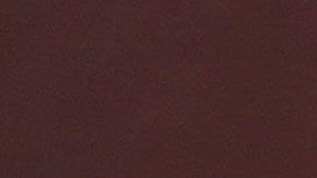 54% de los votantes considera positivo que Biden eligiera a Harris.