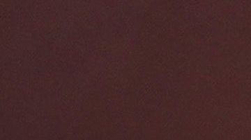 54% de los votantes considera positivo que Biden eligiera a Harris.