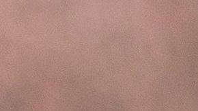 Los CDC podrán prohibir los desalojos hasta el final del año