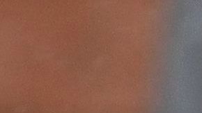 CDC volvió a prohibir recientemente los desalojos en todo el país.