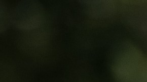 Grupos que podrían ser excluidos en caso de aprobarse un segundo cheque de estímulo bajo las reglas de la Ley CARES.