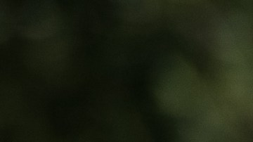 Grupos que podrían ser excluidos en caso de aprobarse un segundo cheque de estímulo bajo las reglas de la Ley CARES.