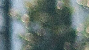 Los ultraderechistas echaron gas pimienta contra hombre desnudo.